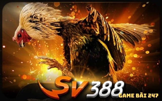 Game bài đổi thưởng sv388
